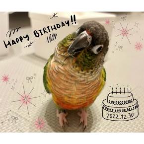 HAPPY BIRTHDAY むぎ♪