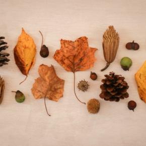 メルカリの出品者バッジ、基準を満たさない出品者でスッキリ♡（独り言）