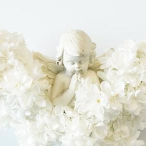 星めぐりコラム恒星編No4～おとめ座のスピカ