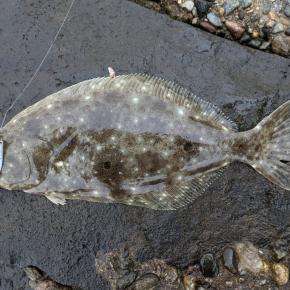 2025年釣り納め！