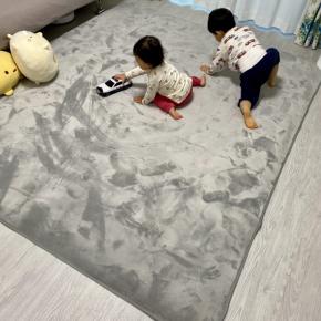 建売りの冬が寒すぎる｜ラグを導入したら快適すぎてズボラ加速