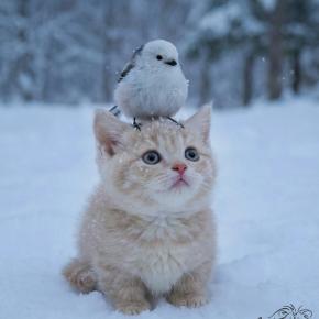 白い奇跡は、まだ小さな背中に降りた