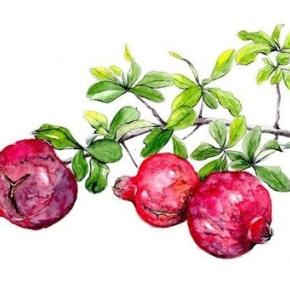 【閉鎖病棟】に3ヶ月入院したお話 No.5