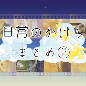 【日常のかけら🧩】ゆっちとはっちの2025年思い出まとめ②