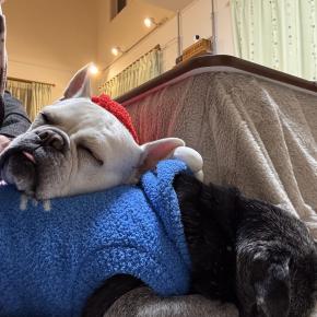 新年あけましておめでとうございます