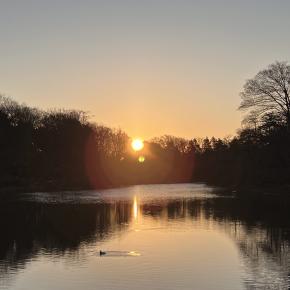 エゴサしてそろそろ変えていこうと思った件 Thu 25 Dec,2025