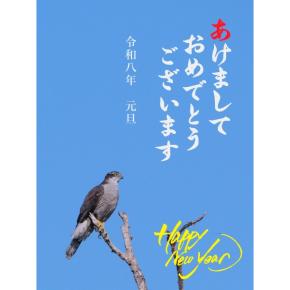 今年もよろしくお願いします。