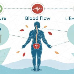 「姿勢」「血流」「生活習慣」肩こり・腰痛を引き起こす3大要因とは？