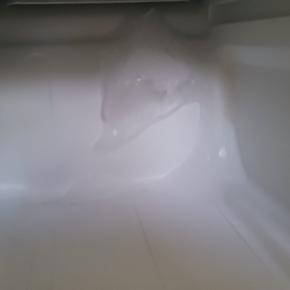 冷凍庫の中にとんでもないものを発見する!