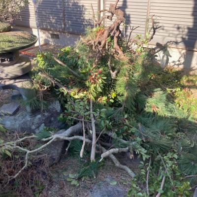 日々ログミニ｜#084 変わらん