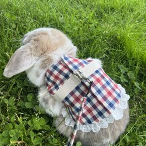 【生活術】忙しい一人暮らしでも安心！1日でトルテにかける時間は？