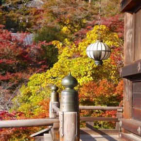 奈良長谷寺の紅葉と美女