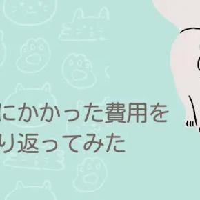 【2025年】猫にかかった費用を見直してみた｜MRI検査18万円と、救ってくれたペット保険