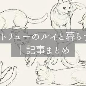 シャルトリューのルイと暮らす毎日｜記事まとめ