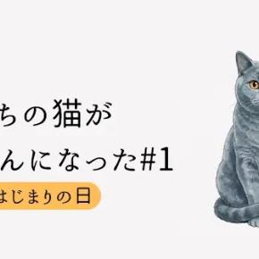 うちの猫がてんかんになった#1