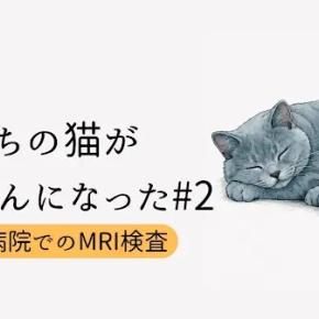 うちの猫がてんかんになった #2｜大学病院でのMRI検査