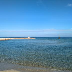 淡路島で豆ミノフィッシュ
