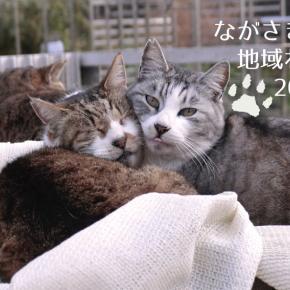 カレンダーやっとはじめました