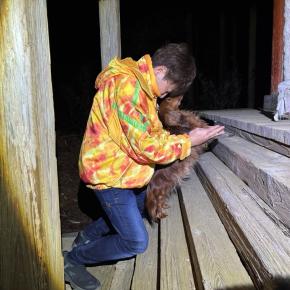 新年明けましておめでとうございます(ФωФ)