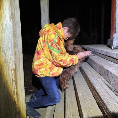 新年明けましておめでとうございます(ФωФ)