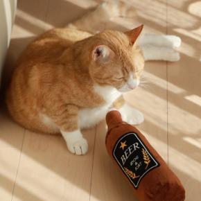 猫らのビール。