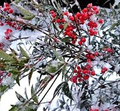 ブログ再々‣……