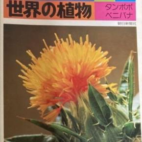 マダガスカルの花木