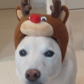 めりくりすます