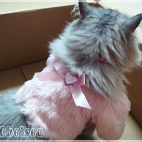 ふわふわピンクコート