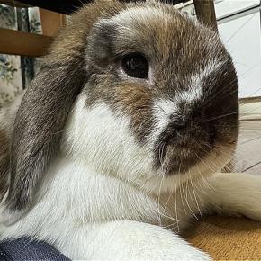 信じてまってて欲しい。