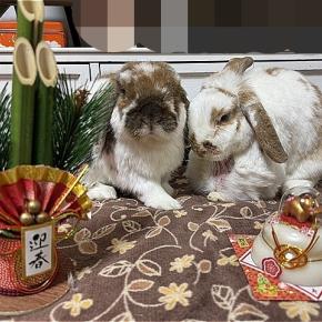 2026年・新年のご挨拶＆お誕生日おめでとう！