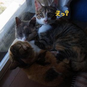 無邪気さは罪？w