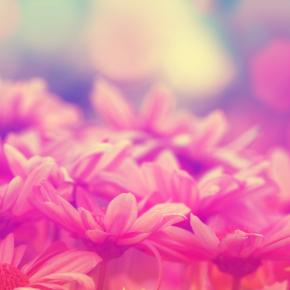 私は腎臓が悪く透析をしていますが、健康で幸せです。