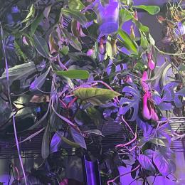 20251231 ちょい残念 でも