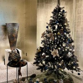 シャンソンライブの前に・お客様とランチ1