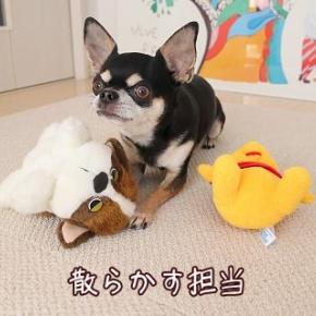 大掃除どこまでする？