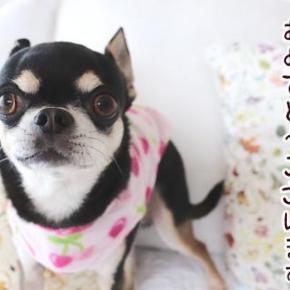 2026年の俺たちは