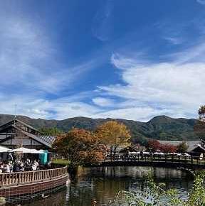 （写真）久しぶりに日帰りで遠出してきました＊ポチしたもの＊今日の気になるものPICK UP