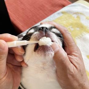 この歯ブラシ！イイです♪歯磨き後の嬉しい顔♪