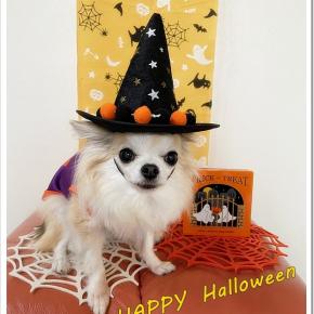 ファビだけのハロウィンモデルだったのは･･･ あれ？？復活！