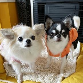 生まれつきのロボット足？！