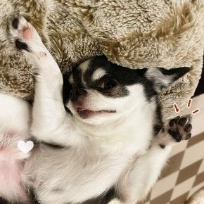 ヘソ天(≧◇≦) アザトカワイイ♪