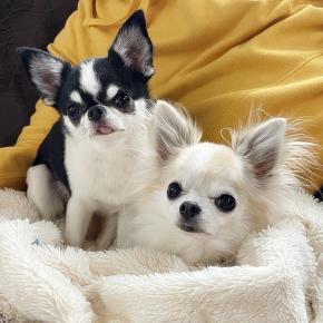 姉弟♪年の差9歳♪