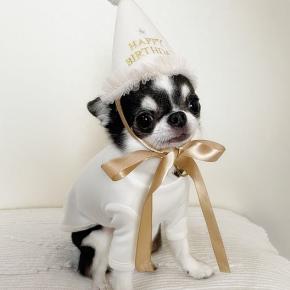 Happy Birthday♪ボーイ5歳に(*^-^*)