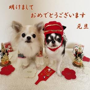 2026年明けましておめでとうございます♪午年♪