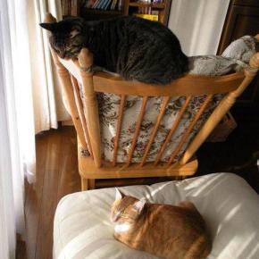 やっぱりココがすき。