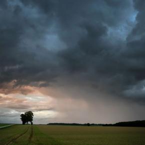 そろそろ決断の時？ 2024.11.21