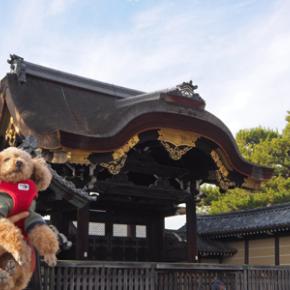 帰省2024冬「御苑さんぽ」