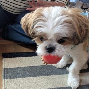 口にすることで心が整うような感覚 義実家ご一行様お見送り ～