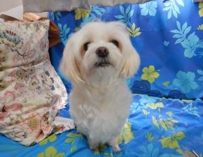 みるくもバイバイ